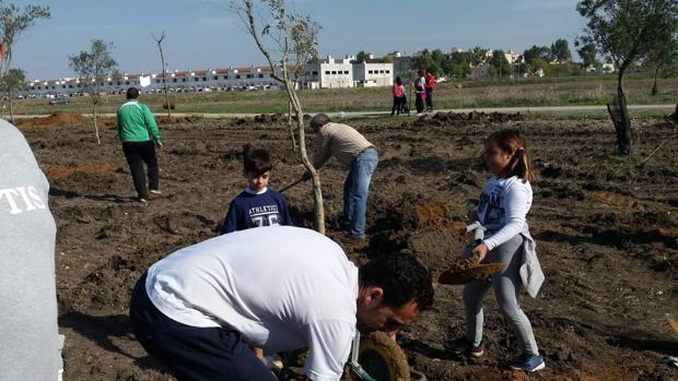 Legiones de Leptis ha plantado en Utrera cientos de árboles en los últimos años