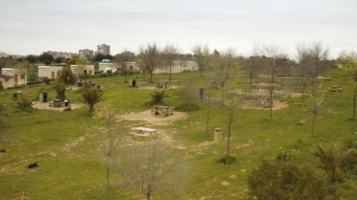 Vista de la zona de barbacoas con Mairena al fondo