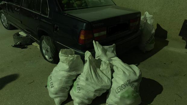 La Policía Local de Arahal ha detenido a dos personas que portaban en el vehículo 700 kilos de mango robados