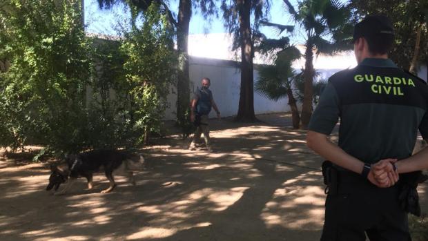 La Guardia Civil ha realizado una importante batida por los principales parques de Utrera