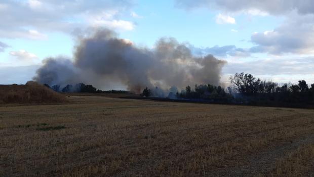Controlado el incendio de un paraje natural de Sanlúcar la Mayor