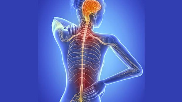 La esclerosis múltiple es una enfermedad neurodegenerativa causada por la destrucción por el sistema inmune