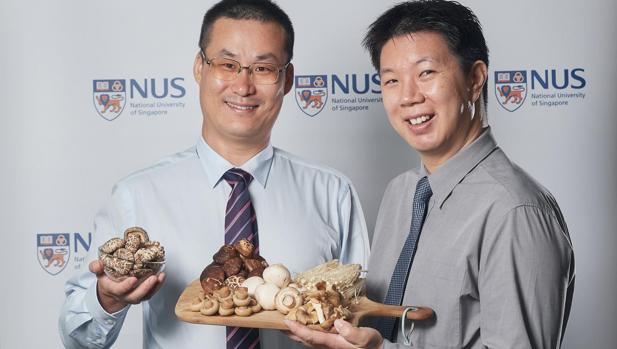 El profesor Lei Feng (izquierda) y el doctor Irwin Cheah posan con las setas mencionadas en el estudio sobre deterioro en el cerebro