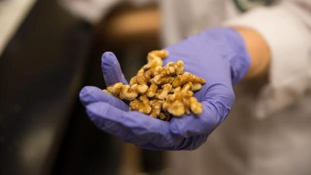 El estudio relaciona el consumo de 57 gramos de nueces al día con un mejor pronóstico del cáncer de mama