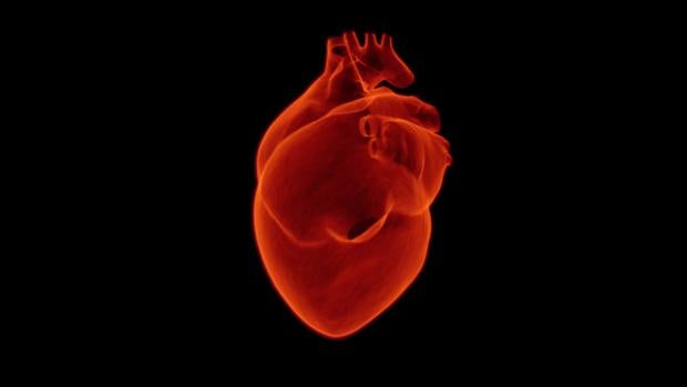 Colesterol, factor de riessgo cardiovascular