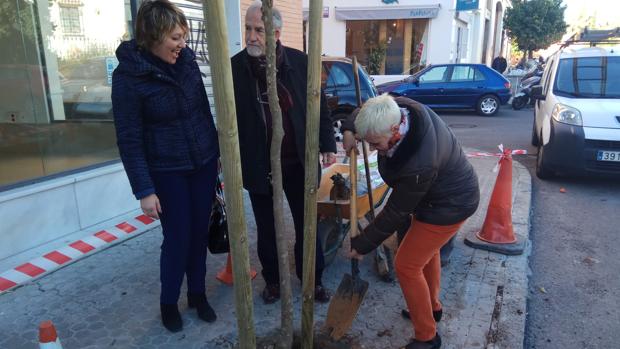 El Ayuntamiento ha plantado nuevos árboles en Nervión