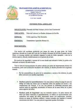 El primer informe habla de pudriciones y termitas