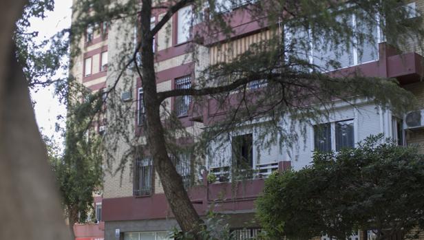 Arbolado en mal estado en la barriada de las Golondrinas