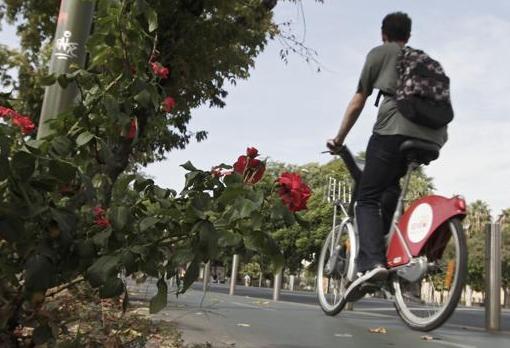 Carril bici de Sevilla