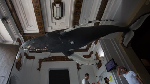 Exposición Casa de la Ciencia