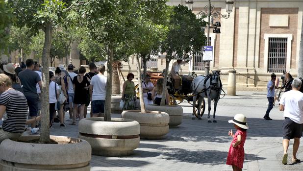 Colas de turistas en el Alcázar compartidas con la parada de los coches de caballo