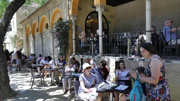 Cafetería del Real Alcázar que va a seguir siendo gestionada por Serenísima Iberia