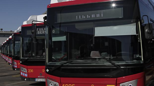 Autobuses de la flota de Tussam