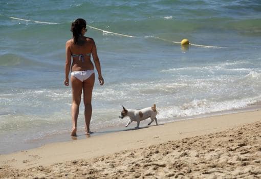 Bañista con su mascota